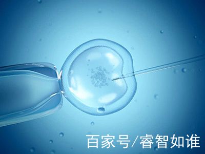 关于供卵代孕公司
